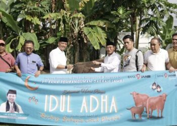 Peringati Hari Raya Qurban, Bank Jambi Salurkan 53 Sapi dan 1 Kambing
