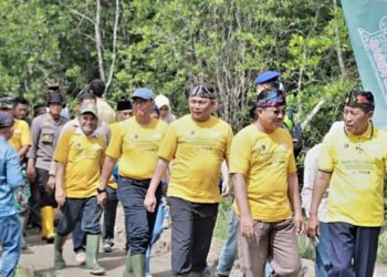 Dampingi Wagup, Bupati Hadiri Giat Penghijauan Hulu Migas Kawasan Mangrove Pangkal Babu