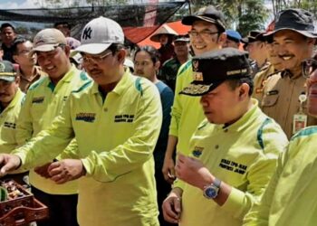 Bersama Al Haris, Anwar Sadat Panen Cabai Merah Kelompok Tani Bangun Karya Desa Lubuk Terentang