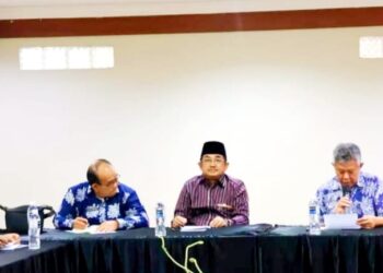 Anwar Sadat Lakukan Pertemuan dengan Beberapa Investor di Kota Batam