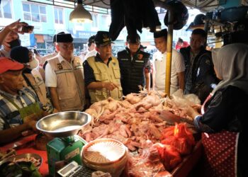 Jelang Ramadhan 1444 H, Wakil Gubernur Abdullah Sani Cek Ketersediaan Pangan Di Pasar Angsoduo