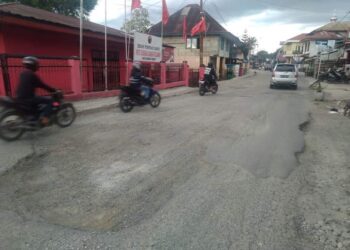 Kian Memprihatinkan, Kondisi Jalan H. Bakri Dusun Baru Makin Parah dan Lubang Makin Dalam