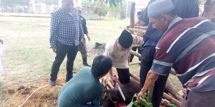 Kirimkan Do’a Kepada Orangtua, Pasi Intel Satbrimob Polda Jambi Qurbankan 4 Ekor Kambing