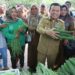 GUBERNUR AL HARIS LAUNCHING GERAKAN PANGAN MURAH SERENTAK PROVINSI JAMBI DI KABUPATEN BATANGHARI