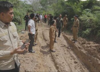 Kadis PUPR Provinsi Jambi M.Fauzi Tinjau Kerusakan Ruas Jalan