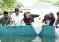 Bentuk Pemuda Berdikari, Ketua DPRD Jambi Serahkan 40 Ribu Bibit Ikan Lele Kepada Pokdakan Berlian 79 di Kelurahan Thehok