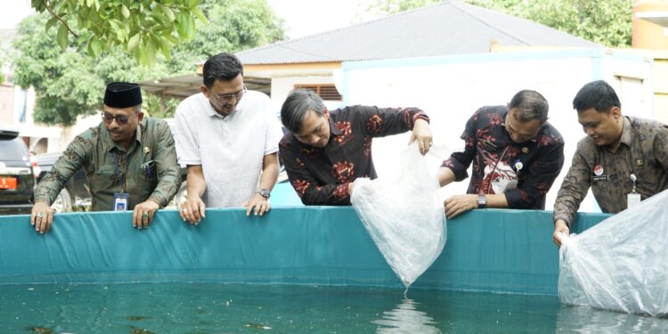 Bentuk Pemuda Berdikari, Ketua DPRD Jambi Serahkan 40 Ribu Bibit Ikan Lele Kepada Pokdakan Berlian 79 di Kelurahan Thehok