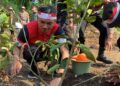 Apresiasi Polda Jambi Lakukan Gerakan Tanam Pohon Di danau Sipin, Edi Purwanto: Ayo Kita Gelorakan Gerakan Penghijauan Sejak Dini
