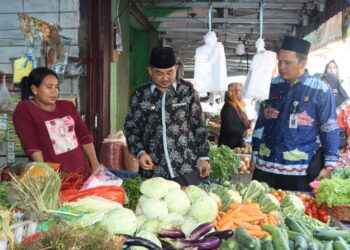 Pastikan Stabilitas Harga Bahan Pokok Jelang Idul Adha, Bupati Tanjabbar Tinjau Pasar Tangga Raja
