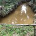 Diduga Selain Geser Tapal Batas, PT DAS Sulap Sungai Jadi Kebun Sawit