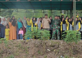 Panen Padi di Desa Tanjung Senjulang, Bupati Apresiasi Petani