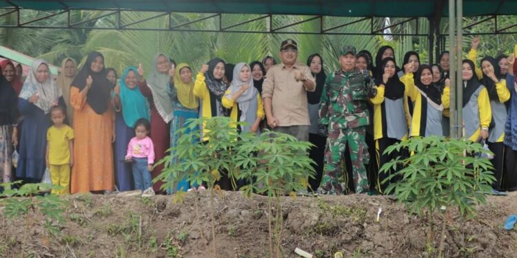 Panen Padi di Desa Tanjung Senjulang, Bupati Apresiasi Petani