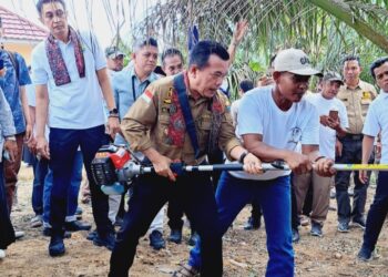 Dumiseke Perkebunan: Program Unggulan Haris – Sani yang Bisa Ciptakan Lapangan Pekerjaan Sektor Perkebunan
