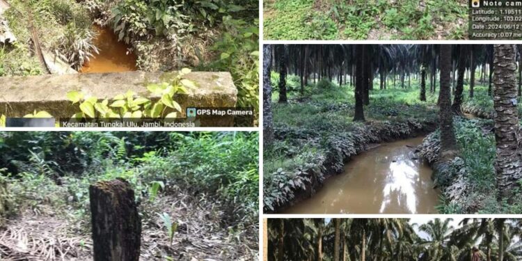 PT DAS Diduga Tabrak Aturan, Asian Agri Grop Diminta Tegas