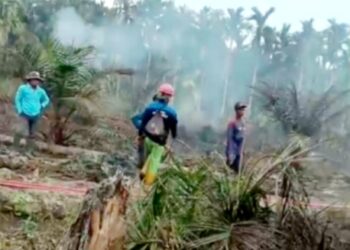 Karhutla di Sungai Dungun Hanguskan Kebun Warga