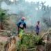 Karhutla di Sungai Dungun Hanguskan Kebun Warga