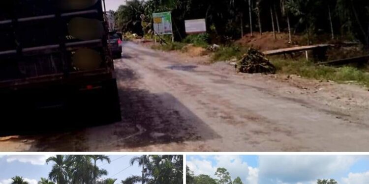 Diduga Datangkan Tanah Urug dari Luar Tanjabbar, PT JGC Tak Menyumbang PAD