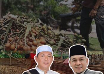 Merespon Keluhan Petani Akibat Anjloknya Harga Pinang, Cabup Hairan Paparkan Solusinya