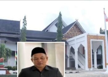 Hadapi Musim Panas dan Berpotensi Terjadi Karhutla, Dewan Harap Pemkab Merangin Tak Lengah