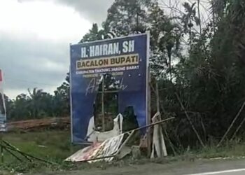 Diduga Baliho Hairan Dirusak, Ketua Tim Pemenangan Pinta Bawaslu Turun Tangan