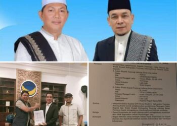Breaking News!!! DPP Partai NasDem Usung Hairan-Amin di Pilkada Tanjabbar