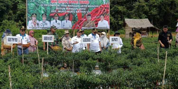 Dumisake Gubernur Al Haris Gelontorkan Rp 10,8 Miliar untuk Penguatan Pangan di Jambi