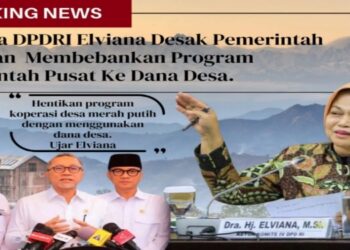 Elviana Minta Pemerintah Hentikan Program Koperasi Desa Membebankan ke Dana Desa