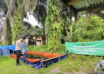 Bhabinkamtibmas Polsek Merlung Perkuat Sinergi dengan Peternak Ikan Patin di Kecamatan Merlung