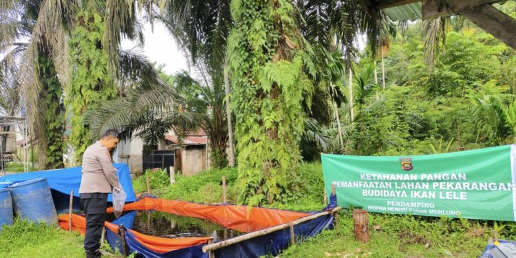 Bhabinkamtibmas Polsek Merlung Perkuat Sinergi dengan Peternak Ikan Patin di Kecamatan Merlung