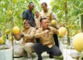 Gubernur Al Haris Panen Perdana Melon Premium di Tanjung Jabung Timur