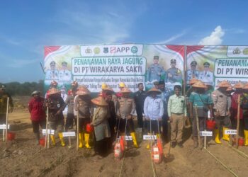 Bersama Rakyat, Bupati dan Kapolres Tanjab Barat Turun ke Ladang Tanam Jagung