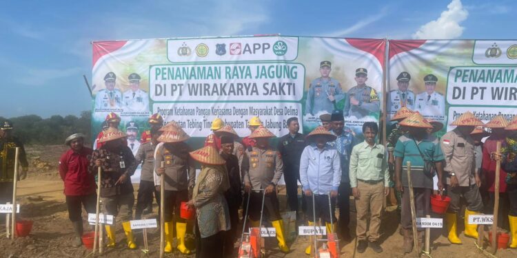 Bersama Rakyat, Bupati dan Kapolres Tanjab Barat Turun ke Ladang Tanam Jagung