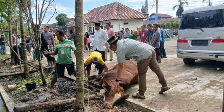 Kepedulian Sosial di Hari Raya: Polres Tanjab Barat Berkurban, Kapolres Turun Langsung Pimpin Penyembelihan