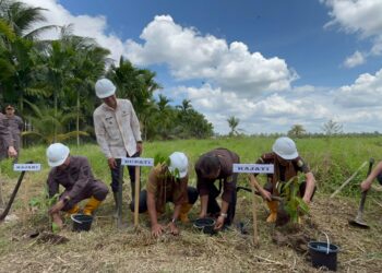 Atasi Krisis Air Permukaan, Kajati Jambi Resmikan Sumur Irigasi di Parit Bilal
