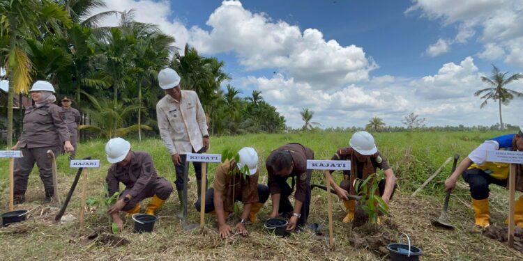 Atasi Krisis Air Permukaan, Kajati Jambi Resmikan Sumur Irigasi di Parit Bilal