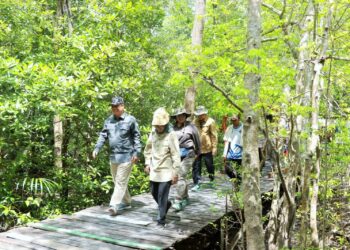 Ketahanan Pesisir Jadi Fokus, Wabup Katamso Terima Kunjungan Tim Kementerian Kehutanan