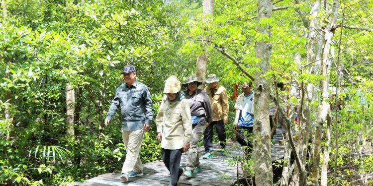 Ketahanan Pesisir Jadi Fokus, Wabup Katamso Terima Kunjungan Tim Kementerian Kehutanan